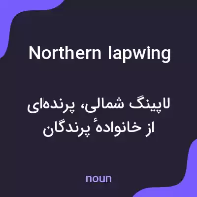 معنی northern lapwing به فارسی معنی northern lapwing به فارسی