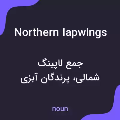 معنی northern lapwings به فارسی معنی northern lapwings به فارسی
