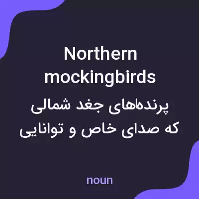 معنی northern mockingbirds به فارسی معنی northern mockingbirds به فارسی