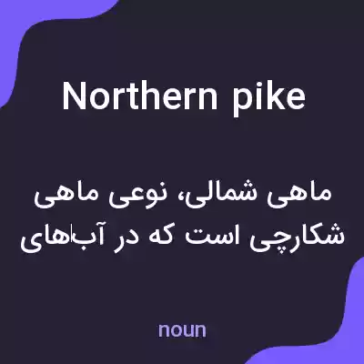 معنی northern pike به فارسی معنی northern pike به فارسی