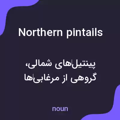 معنی northern pintails به فارسی معنی northern pintails به فارسی