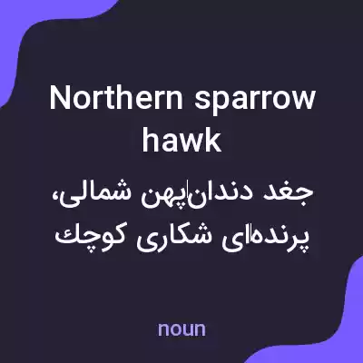 معنی northern sparrowhawk به فارسی معنی northern sparrowhawk به فارسی