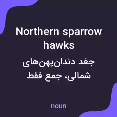 معنی northern sparrow hawks به فارسی معنی northern sparrow hawks به فارسی