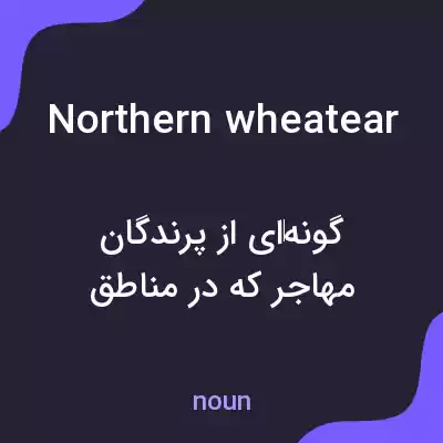 معنی northern wheatear به فارسی معنی northern wheatear به فارسی