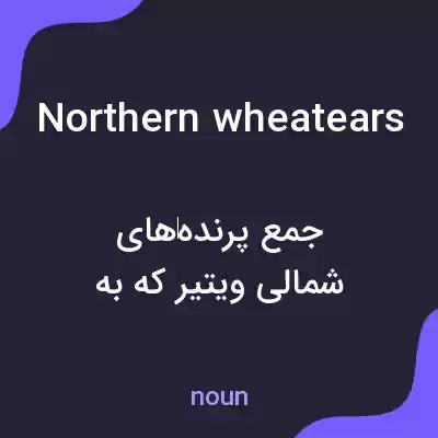 معنی northern wheatears به فارسی معنی northern wheatears به فارسی