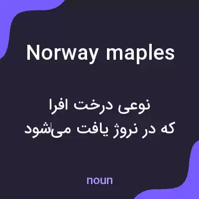 معنی norway maples به فارسی معنی norway maples به فارسی