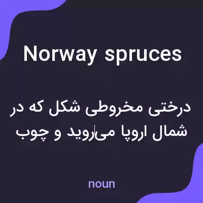 معنی norway spruces به فارسی معنی norway spruces به فارسی