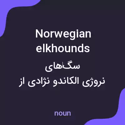 معنی norwegian elkhounds به فارسی معنی norwegian elkhounds به فارسی
