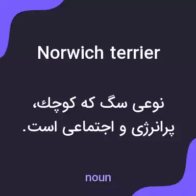 معنی norwich terrier به فارسی معنی norwich terrier به فارسی