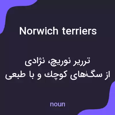 معنی norwich terriers به فارسی معنی norwich terriers به فارسی
