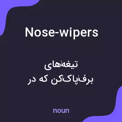 معنی nose-wipers به فارسی معنی nose-wipers به فارسی