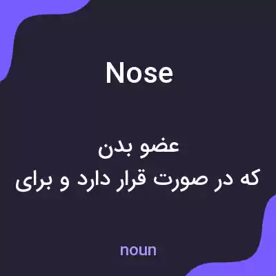 معنی nose به فارسی معنی nose به فارسی