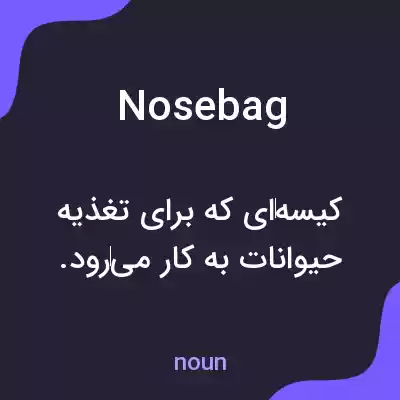 معنی nosebag به فارسی معنی nosebag به فارسی