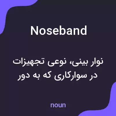 معنی noseband به فارسی معنی noseband به فارسی