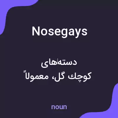 معنی nosegays به فارسی