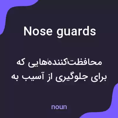 معنی nose guards به فارسی