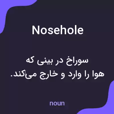 معنی nosehole به فارسی معنی nosehole به فارسی