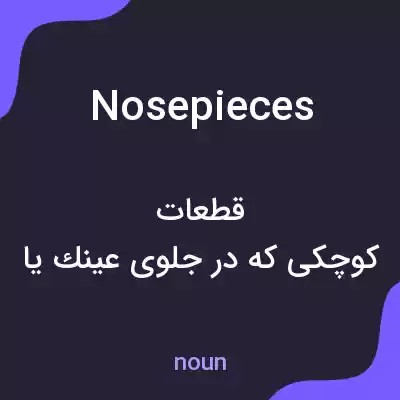 معنی nosepieces به فارسی معنی nosepieces به فارسی