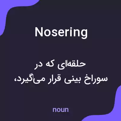 معنی nosering به فارسی معنی nosering به فارسی