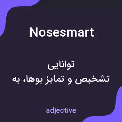 معنی nosesmart به فارسی معنی nosesmart به فارسی