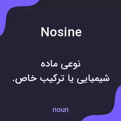 معنی nosine به فارسی معنی nosine به فارسی
