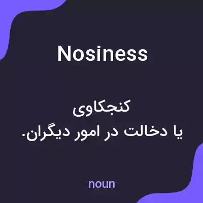 معنی nosiness به فارسی معنی nosiness به فارسی