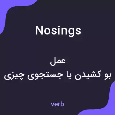 معنی nosings به فارسی