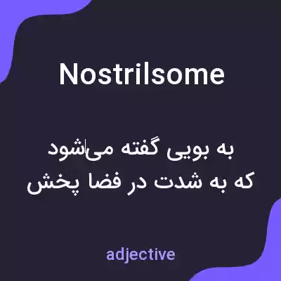 معنی nostrilsome به فارسی معنی nostrilsome به فارسی