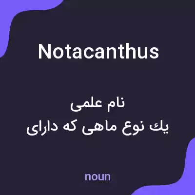 معنی notacanthus به فارسی معنی notacanthus به فارسی