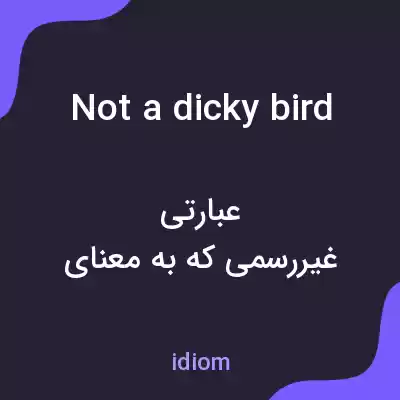 معنی not a dicky bird به فارسی معنی not a dicky bird به فارسی