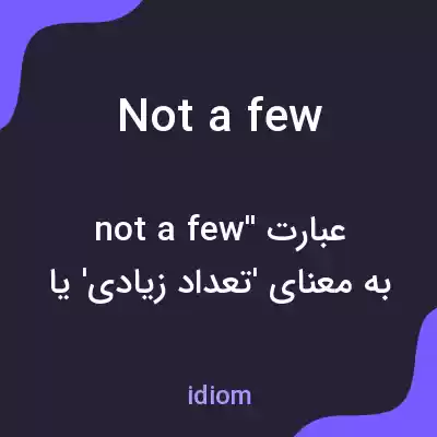 معنی not a few به فارسی