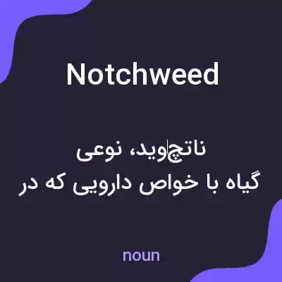 معنی notchweed به فارسی معنی notchweed به فارسی