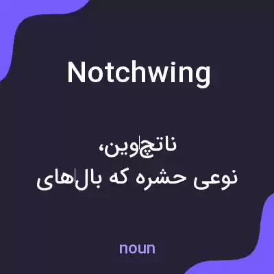 معنی notchwing به فارسی معنی notchwing به فارسی