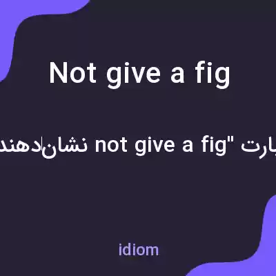 معنی not give a fig به فارسی معنی not give a fig به فارسی