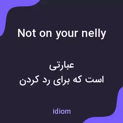 معنی not on your nelly به فارسی معنی not on your nelly به فارسی