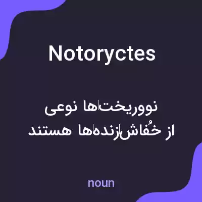 معنی notoryctes به فارسی معنی notoryctes به فارسی