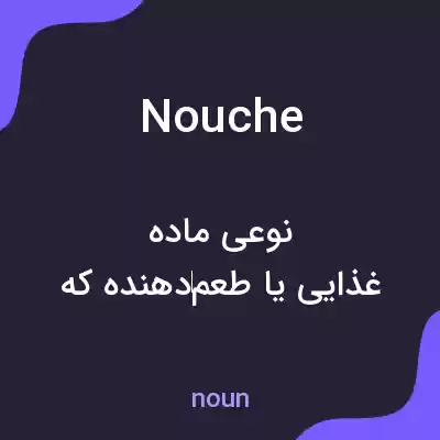 معنی nouche به فارسی معنی nouche به فارسی