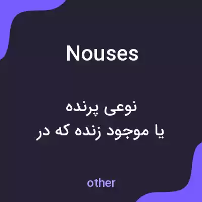 معنی nouses به فارسی