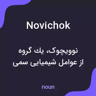 معنی novichok به فارسی معنی novichok به فارسی