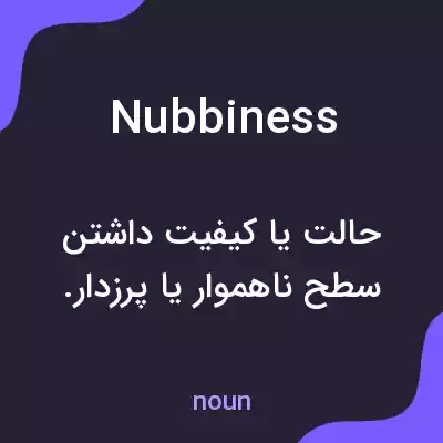 معنی nubbiness به فارسی معنی nubbiness به فارسی