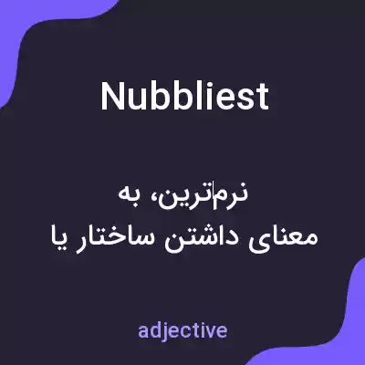 معنی nubbliest به فارسی معنی nubbliest به فارسی