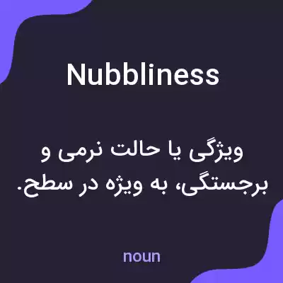 معنی nubbliness به فارسی معنی nubbliness به فارسی