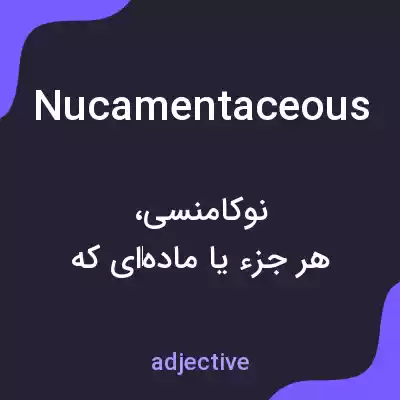معنی nucamentaceous به فارسی معنی nucamentaceous به فارسی