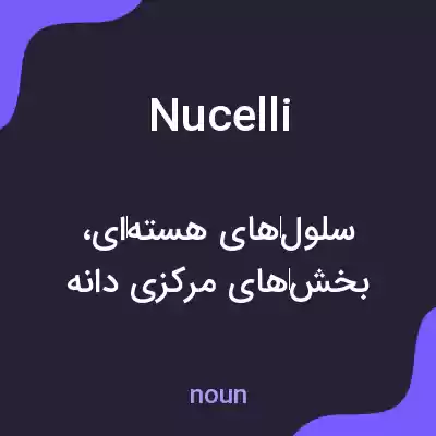 معنی nucelli به فارسی معنی nucelli به فارسی