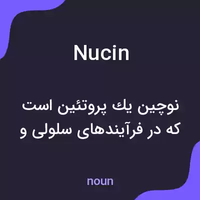 معنی nucin به فارسی معنی nucin به فارسی