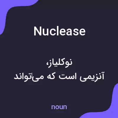 معنی nuclease به فارسی