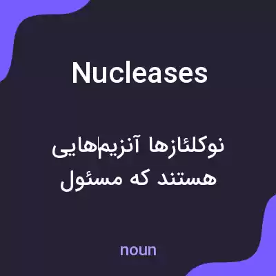 معنی nucleases به فارسی معنی nucleases به فارسی