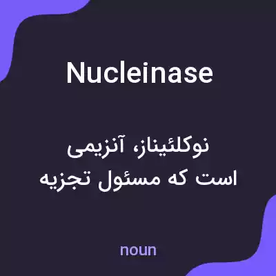 معنی nucleinase به فارسی معنی nucleinase به فارسی