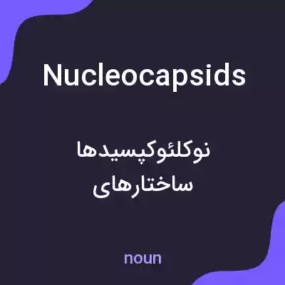معنی nucleocapsids به فارسی معنی nucleocapsids به فارسی