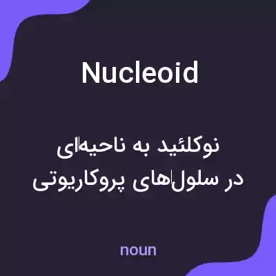 معنی nucleoid به فارسی معنی nucleoid به فارسی